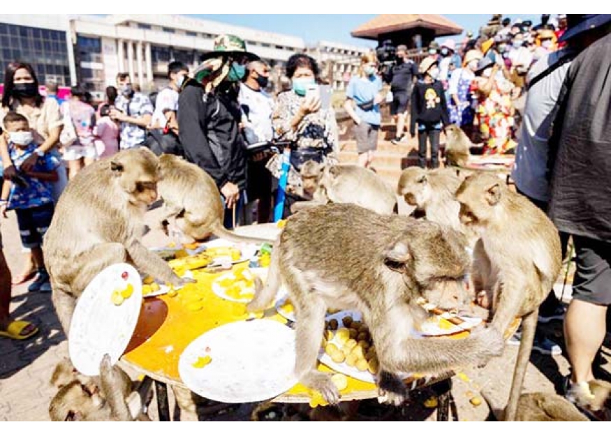 2021–12-01 华富里飨猴盛会 杯盘狼藉